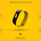 Illustration for article titled This Wristband Will Zap You With 255 Volts When You Misbehave